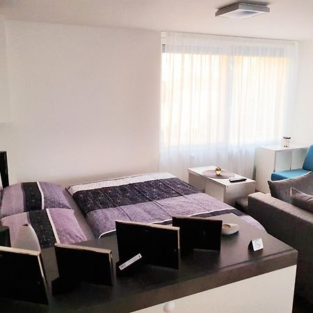 G Support Apartment プラハ 部屋 写真