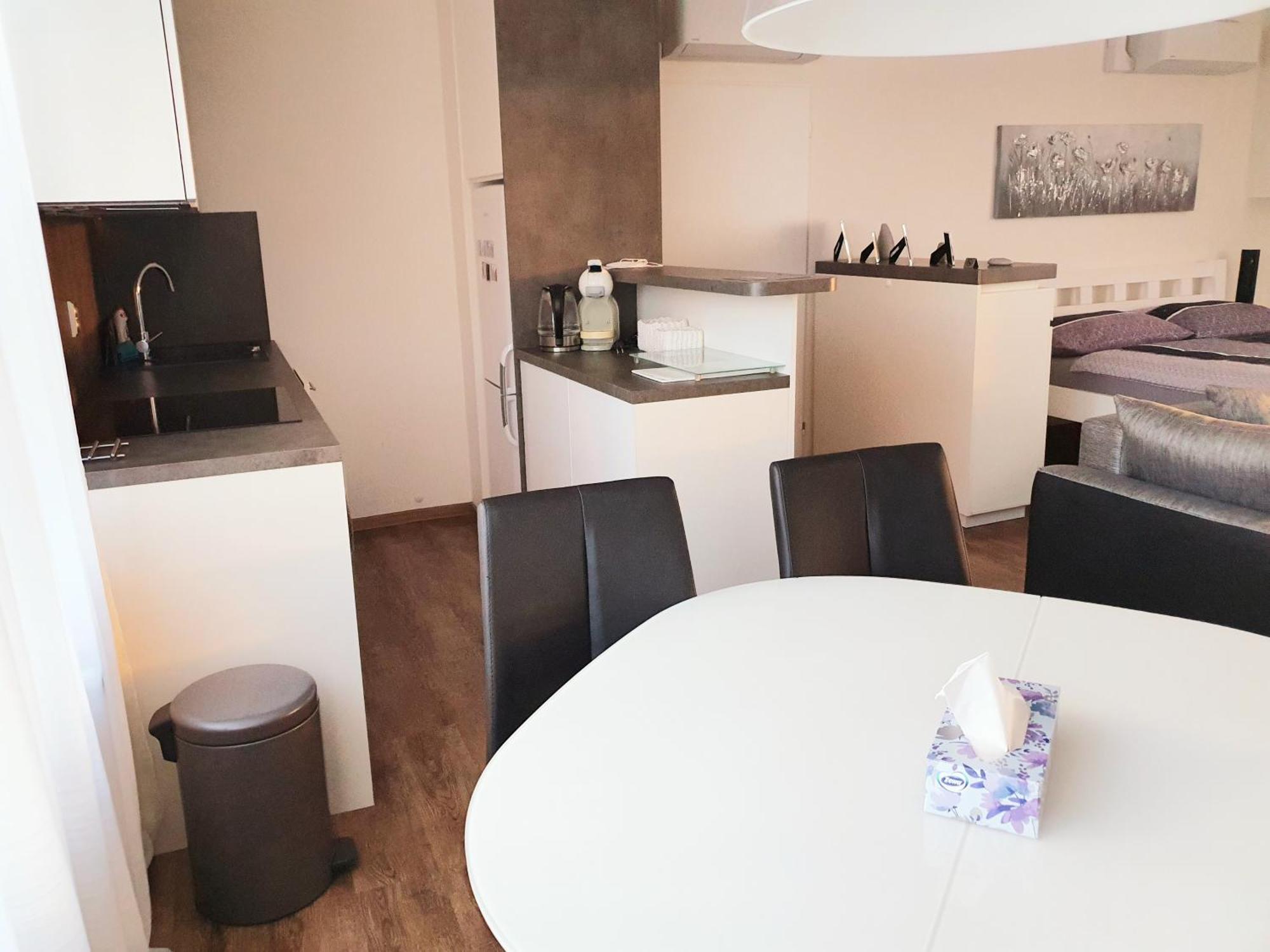G Support Apartment プラハ 部屋 写真