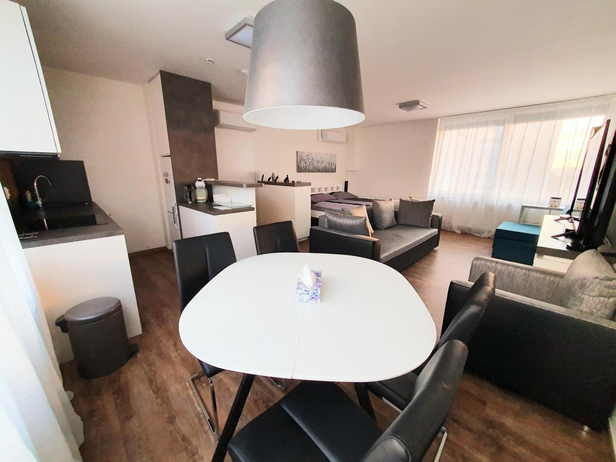 G Support Apartment プラハ 部屋 写真